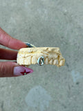 Single Cap - Grillz