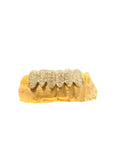 Bottom 6 Paisley Print - Grillz
