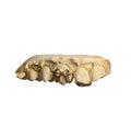 Bow + Inlay - Grillz